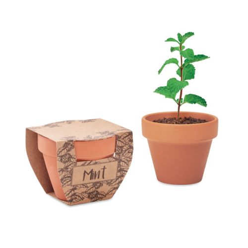 Terracotta potje mint - Afbeelding 6